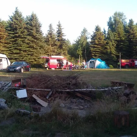 Lesna Galeria Dawniej U Mateusza * Sarbsk