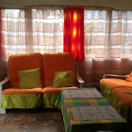 Lesna Galeria Dawniej U Mateusza Sarbsk