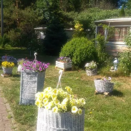 Lesna Galeria Dawniej U Mateusza