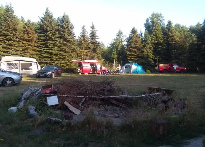 Lesna Galeria Dawniej U Mateusza * Sarbsk