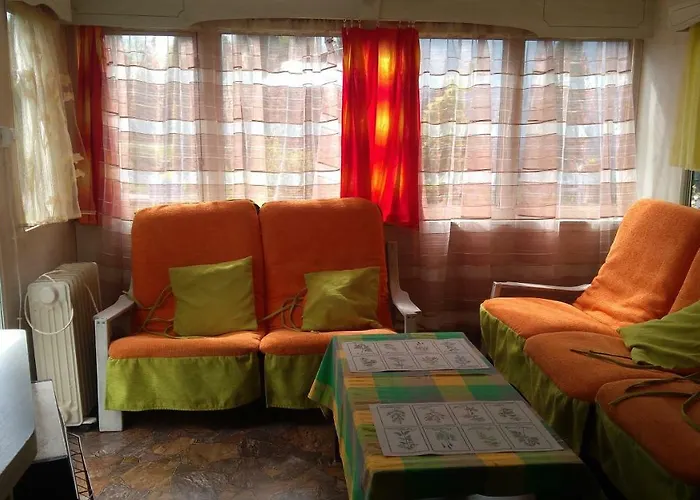 Lesna Galeria Dawniej U Mateusza Sarbsk