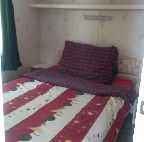 Lesna Galeria Dawniej U Mateusza Sarbsk