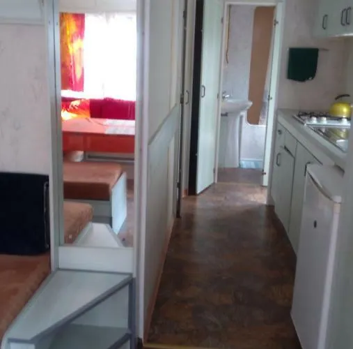 Lesna Galeria Dawniej U Mateusza