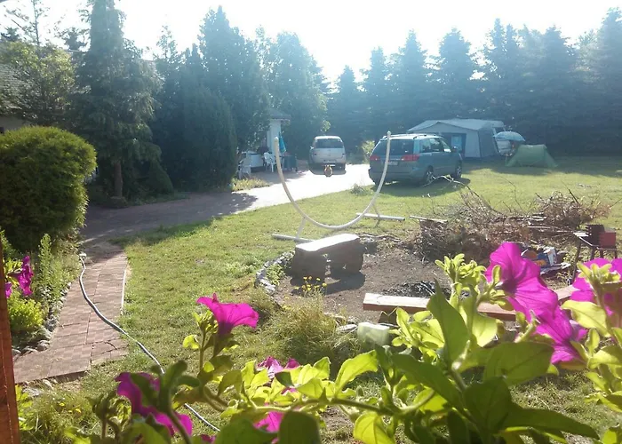 Lesna Galeria Dawniej U Mateusza Tatil Evi *